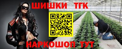 прущие крисы Можга