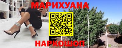 прущие крисы Можга