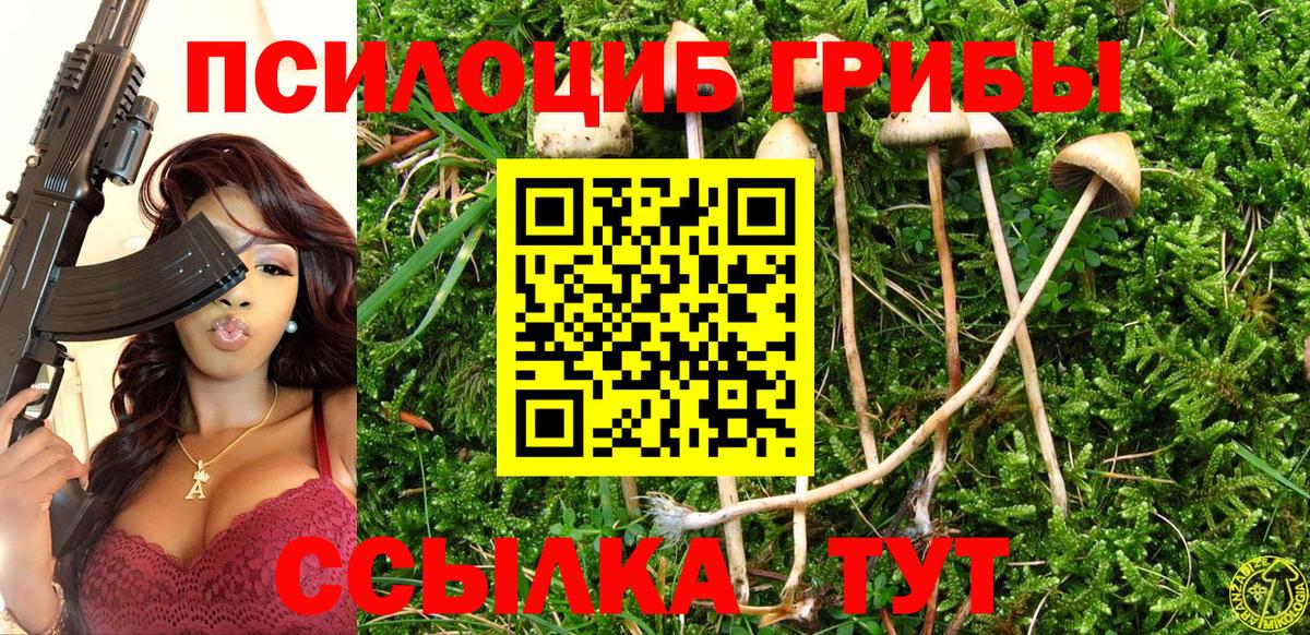 Псилоцибиновые грибы Magic Shrooms Татарск