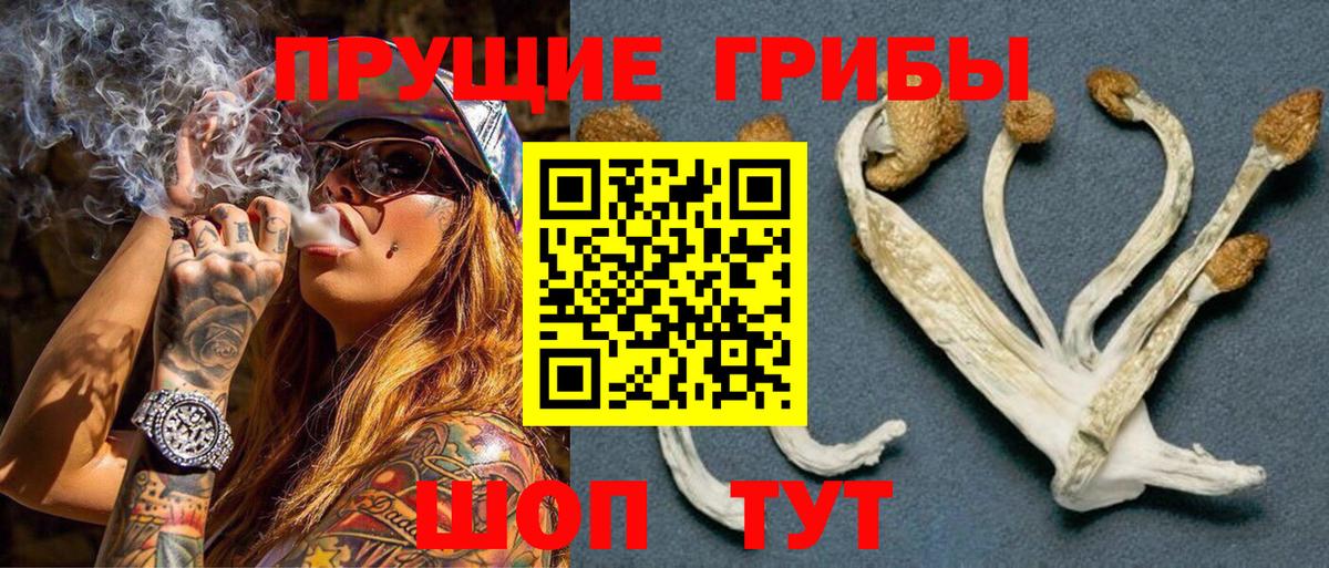 Галлюциногенные грибы MAGIC MUSHROOMS  Вход с VPN  Татарск 